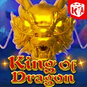 Đội ngũ hỗ trợ khách hàng WINVN